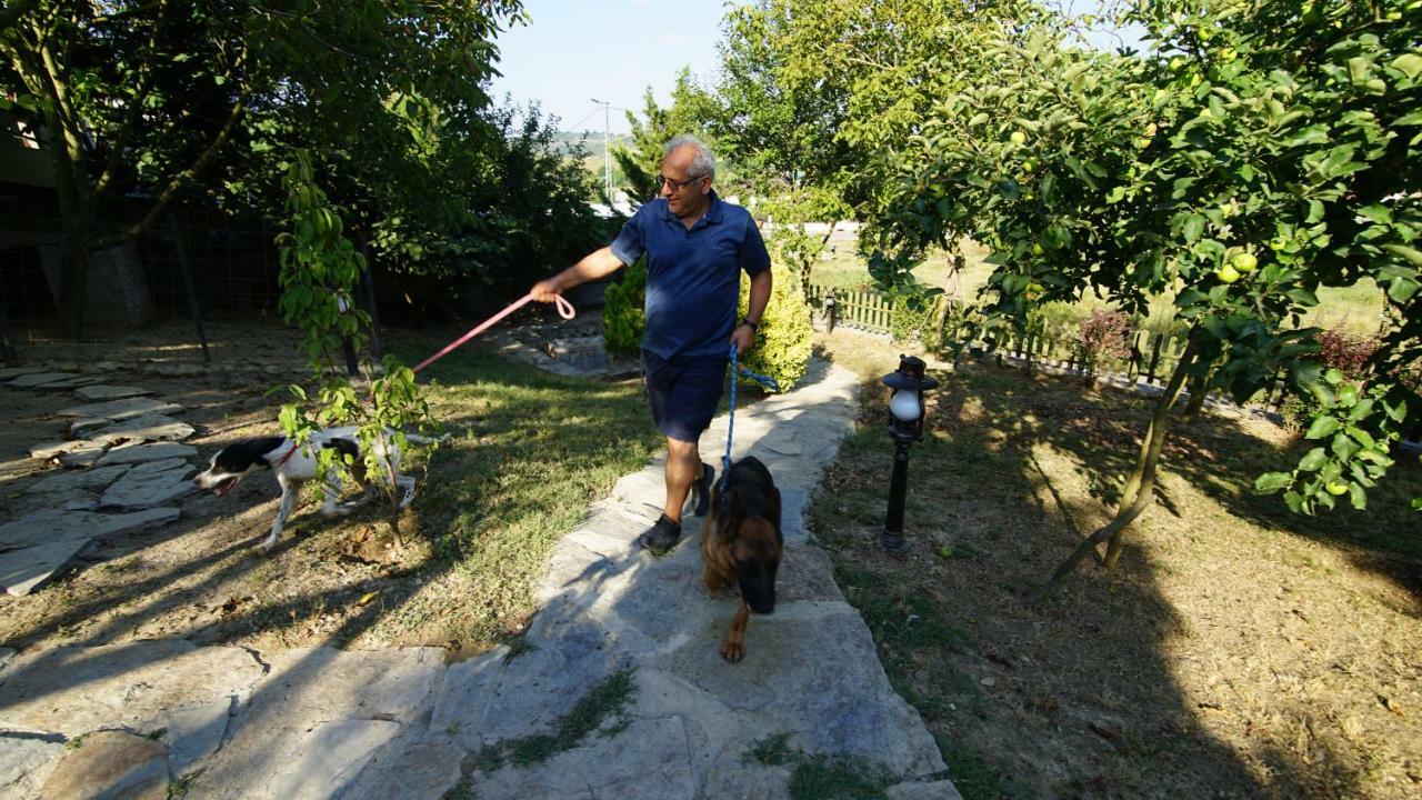 Castle Nolana Hotel Geredeli Kültér fotó