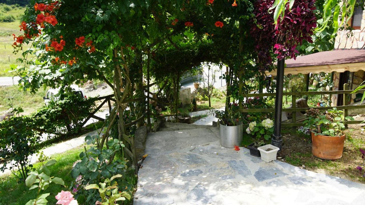 Castle Nolana Hotel Geredeli Kültér fotó